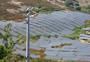 many solar panels on the hill