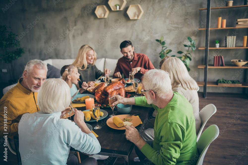 Wall mural Portrait of nice idyllic cheerful big full family couples eating domestic tasty yummy meal dishes feast gratefulness gathering tradition atmosphere season modern loft industrial style interior house