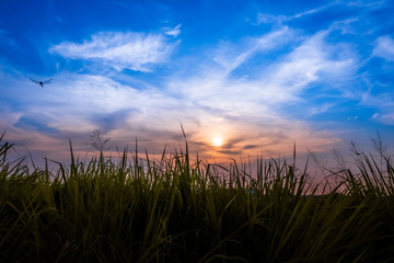 Bang Phra Reservoir at chonburi thailand.