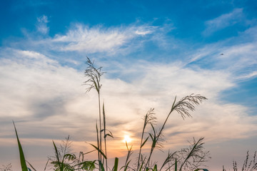 Bang Phra Reservoir at chonburi thailand.
