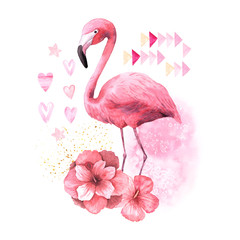 Watercolor tropical pink flamingo