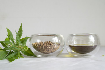 Hemp products concept. Cannabis seed oil and green plant