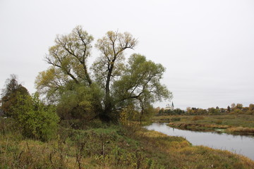 Obraz premium Big autumn tree in the field on the riverside with background of village church and bridge