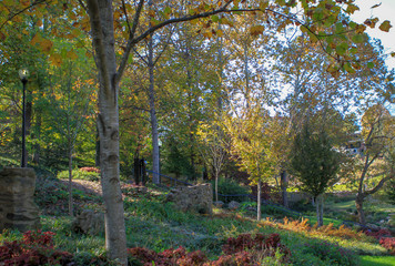 Naklejka premium Leaves and Trees 