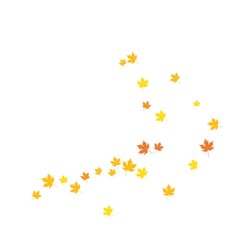 oak leaf background