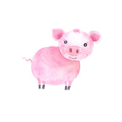 Watercolor cute pigs characters