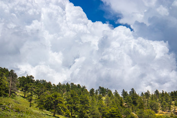 puffy clouds