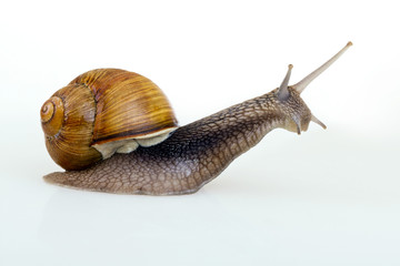 photo_test_6