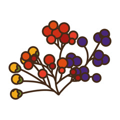 branch with acorns autumn fruits seasonal