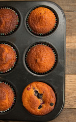 Delicious home made muffins with wild berries powdered with icing sugar