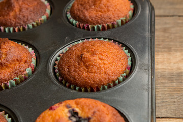 Delicious home made muffins with wild berries powdered with icing sugar