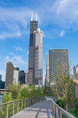 Skyline Scene along the Riverwalk on the South Branch of the Chicago River in Downtown Chicago