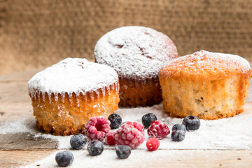 Delicious home made muffins with wild berries powdered with icing sugar