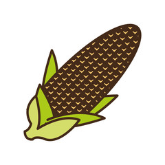 corn autumn vegetable seasonal icon