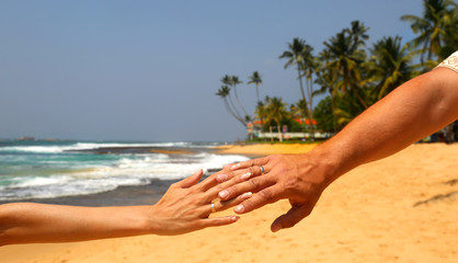 Wedding couple holding hands on tropical background. Two hands wearing wedding rings in honeymoon...