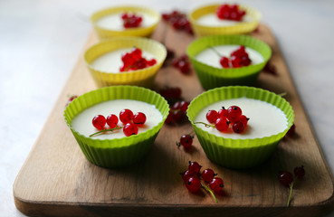 Italian dessert panna cotta with fresh red currants served in silicon molds form on wooden tray and...