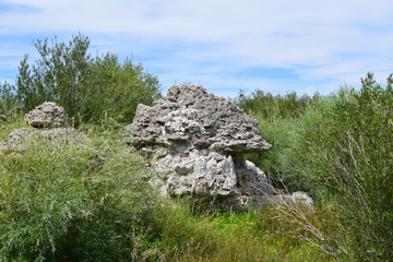 Mono Lake Tufa