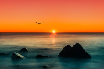 Obrazy na Szkle  Piękny zachód słońca nad horyzontem oceanu