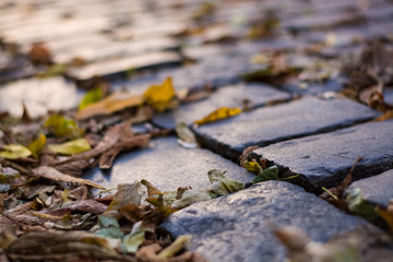 Background or texture from an old paving stones with yellowing autumn, fallen leaves on the road.