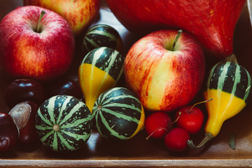 Bright autumn plate of fruits and vegetables