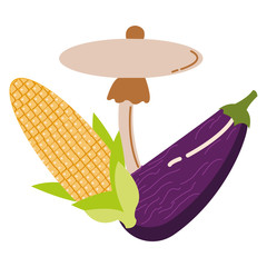 corn with fungus and eggplant autumn vegetables