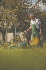 Senior gardener gardening in his permaculture garden -