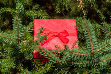 Red Gift Box Placed on Pine Tree Branch