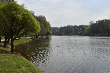 types of pond in a park ensemble
