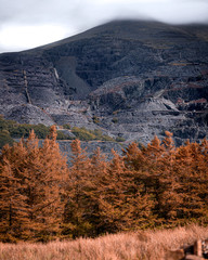 view of mountains in autumn