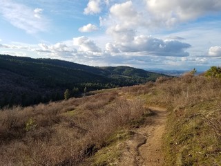 landscape in the mountains