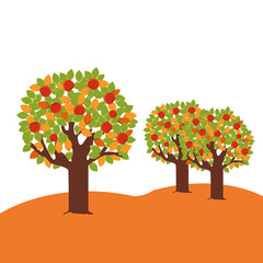 Naklejka na ściany i meble trees with acorns autumn fruits seasonal