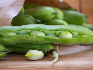Fresh broad beans in pod