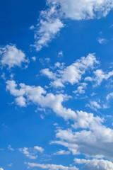 Naklejka na ściany i meble White clouds can be seen in a bright blue sky.