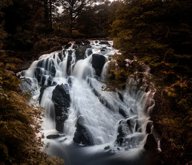 Fototapeta premium waterfall in forest
