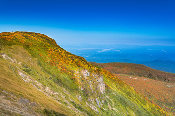 栗駒山紅葉神の絨毯