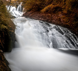 waterfall in the forest