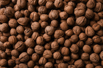 Background of fresh walnuts a lot of relief, closed, in a shell (background, pattern) from a close distance with full frame, copy space and place for text