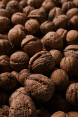 Background of fresh walnuts a lot of relief, closed, in a shell (background, pattern) from a close distance with full frame, copy space and place for text