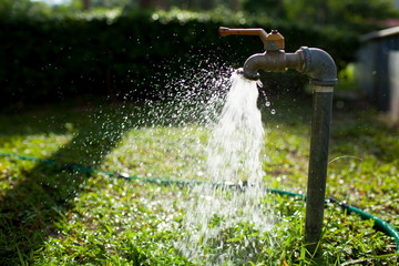 Water valve in the middle of the lawn