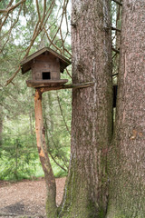 House on a tree - Austria Tyrol - Hallstatt - Seefeld