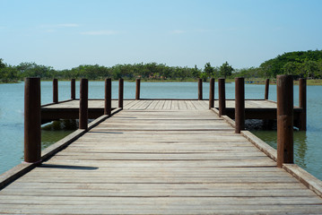 Wooden bridge into the lake with trees and horizontal line in background