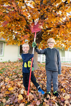 Community volunteers raking autumn leaves