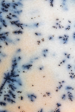 Natural Dendrite Opal Closeup