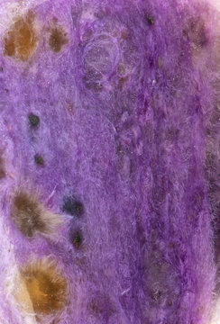 Natural Charoite Closeup