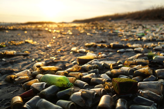 Glass bottles litter the beach and glimmer in the evening sunlight