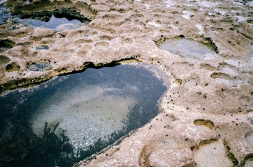 Rock pools