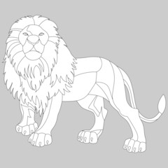 image of a lion in black and white, wild animal, isolate on a white background