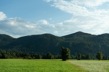 Fototapeta na wymiar Mountains with blue skyes
