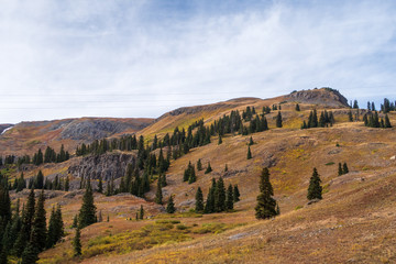 Fototapeta na wymiar Autumn Colorado low angle landscape of rolling mountain top and a few trees