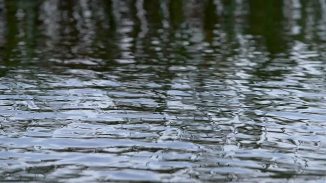 calm surface of water in windless weather
